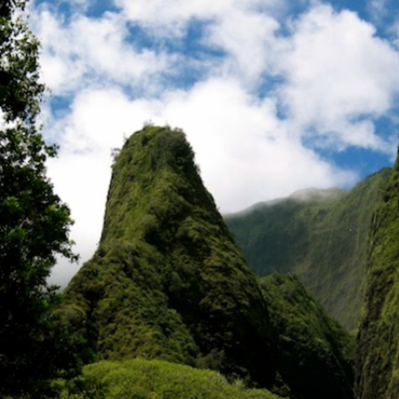 alohajan22